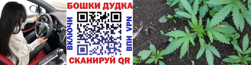 Все наркотики Ирбит Галлюциногенные грибы Alpha-PVP