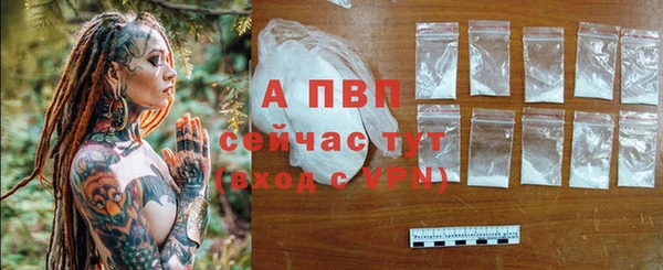 PSILOCYBIN Няндома