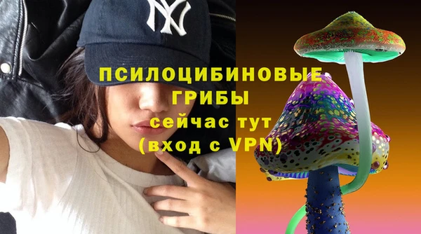 PSILOCYBIN Няндома
