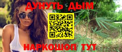 мдпв Гусь-Хрустальный