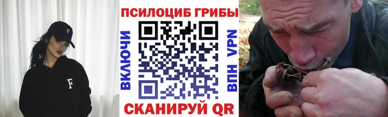 как найти наркотики  Ирбит  Галлюциногенные грибы GOLDEN TEACHER 
