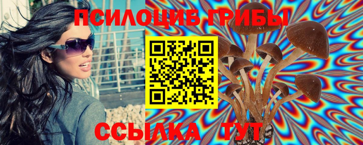Галлюциногенные грибы прущие грибы  Вход с VPN  Галлюциногенные грибы мицелий  Ирбит 